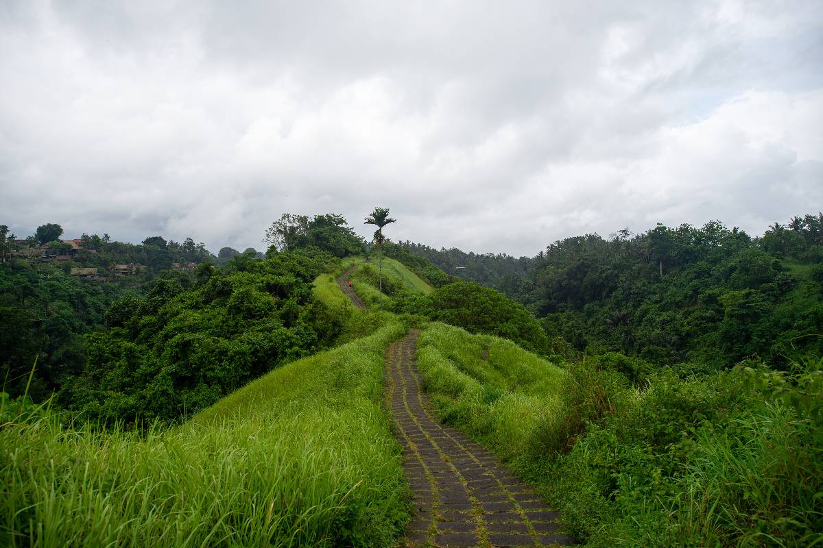 Campuhan Ridge Walk in Ubud