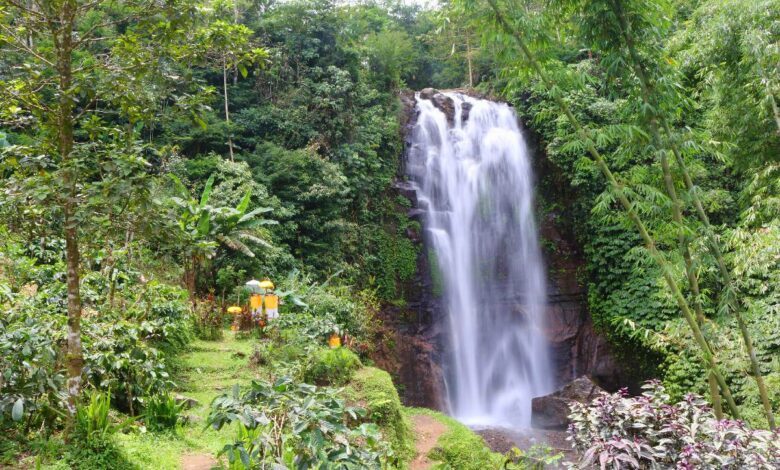 Munduk Wasserfall