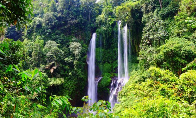 Sekumpul Wasserfall auf Bali