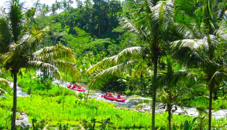 Rafting auf dem Ayung auf Bali