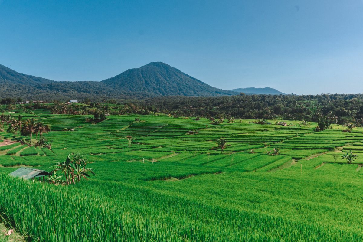 Landschaft auf Bali