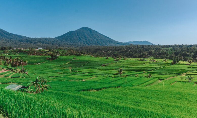 Landschaft auf Bali