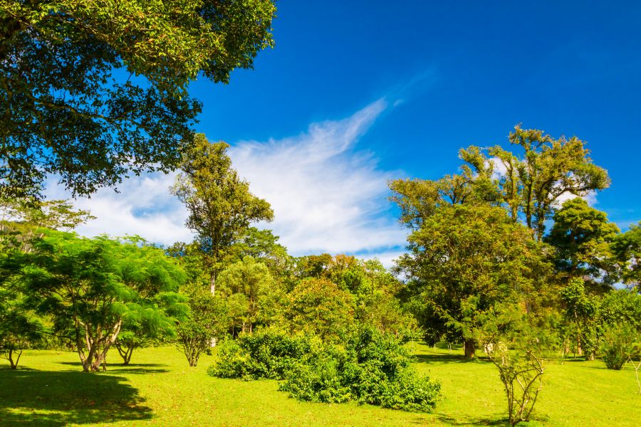 Botanischer Garten Bedugul