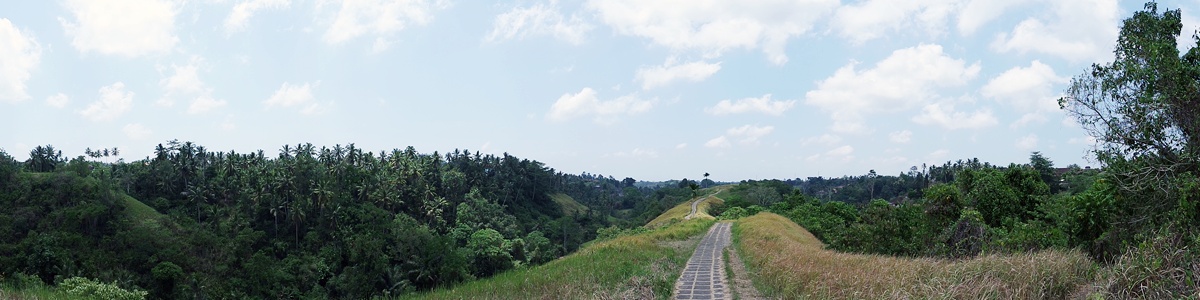 Campuhan Ridge Walk auf Bali