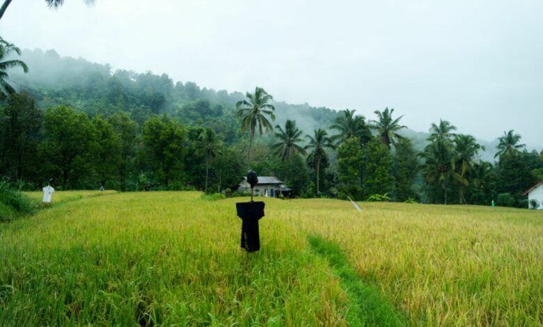 Munduk auf Bali